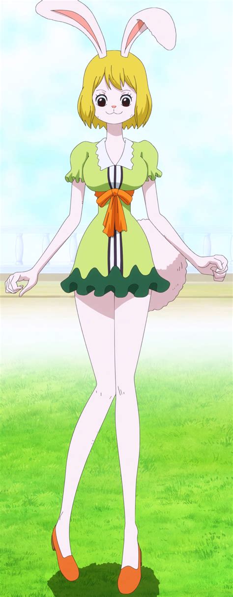 hentai one piece carrot|Character: carrot page 2